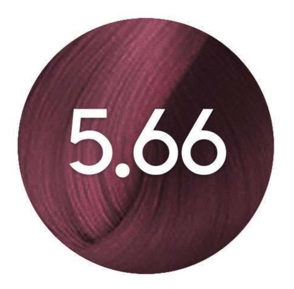 Colorissimo 100ML Tubes look